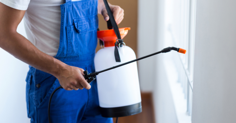 Restaurant Pest Control - ScaleZone