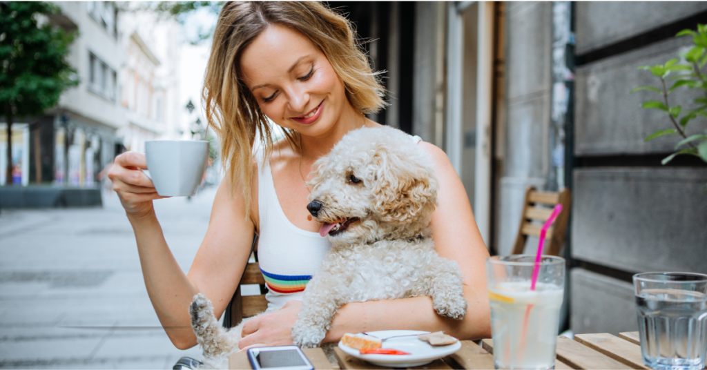 Pet-Friendly Restaurant - ScaleZone